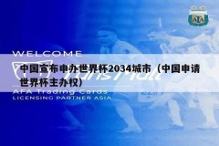 中国宣布申办世界杯2034城市（中国申请世界杯主办权）